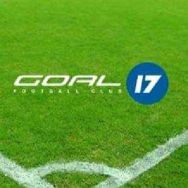 GOAL17